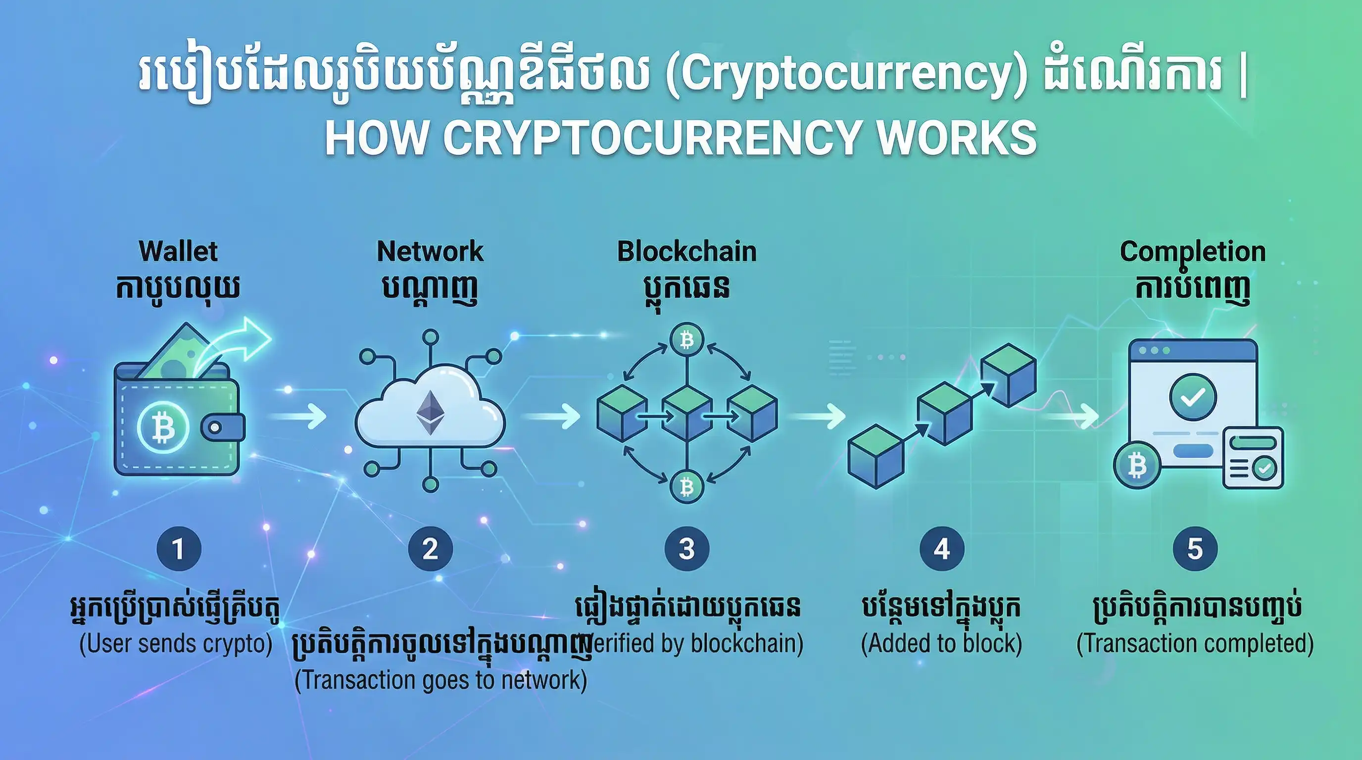 Crypto infographic