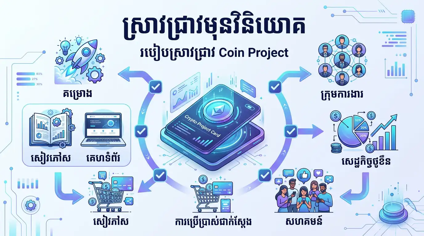 Coin project research infographic