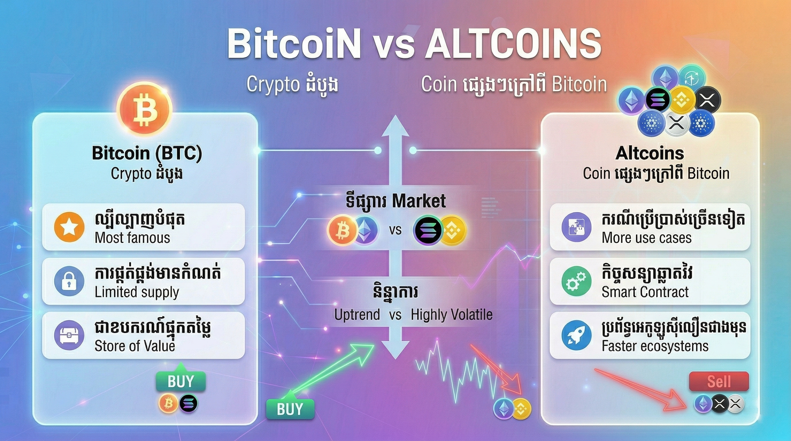 Crypto infographic