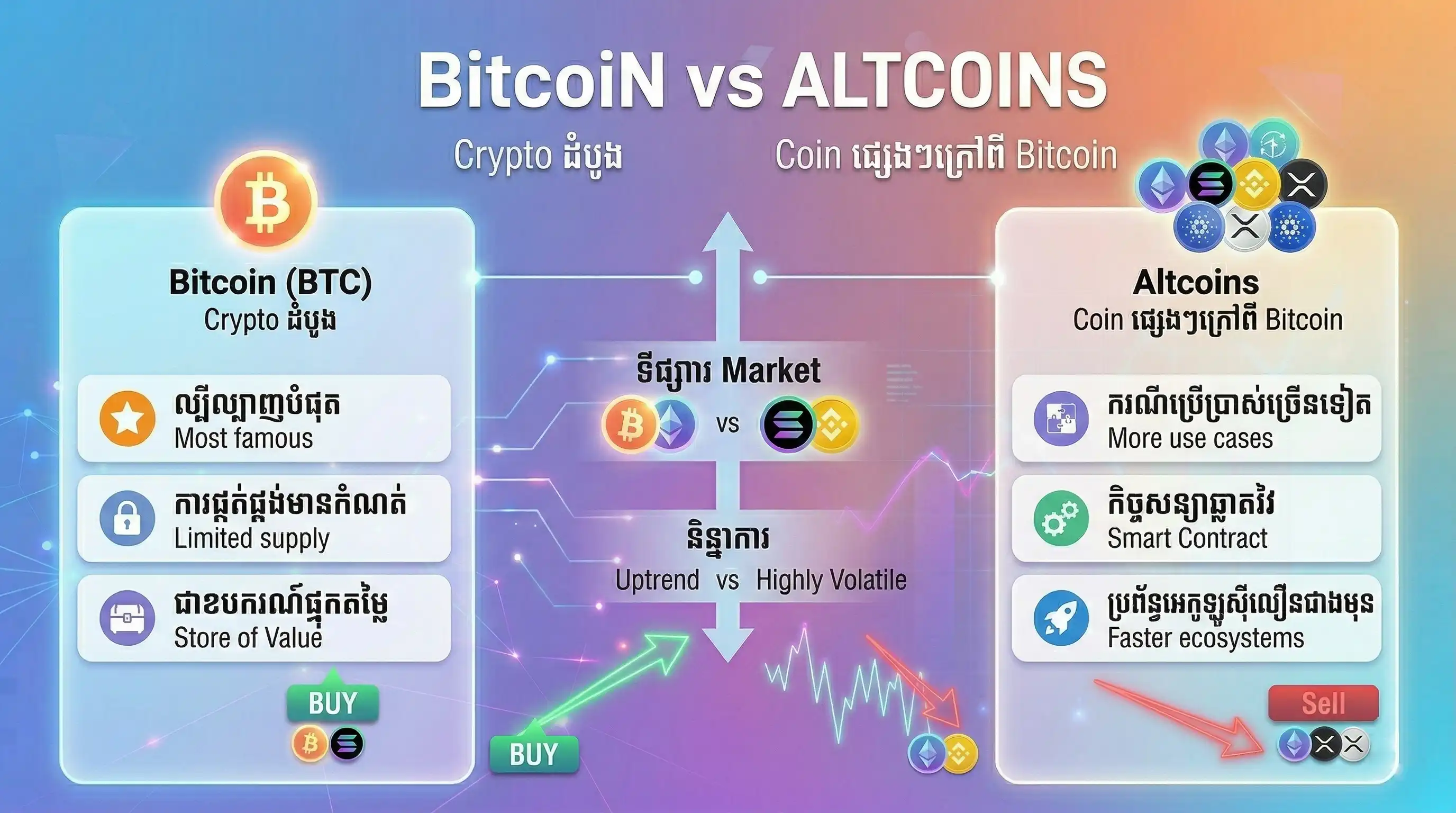 Crypto infographic