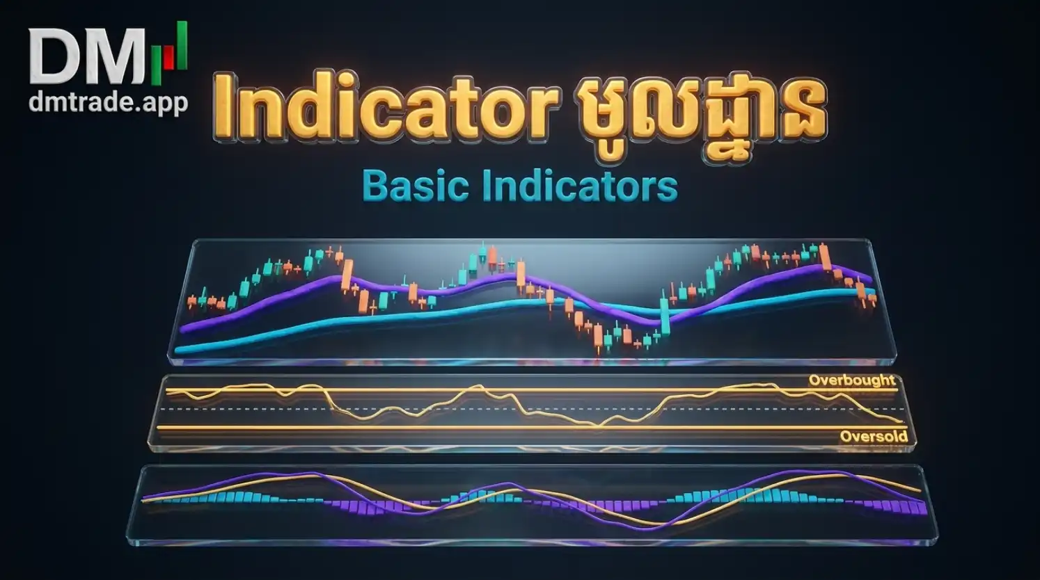 Indicator មូលដ្ឋាន