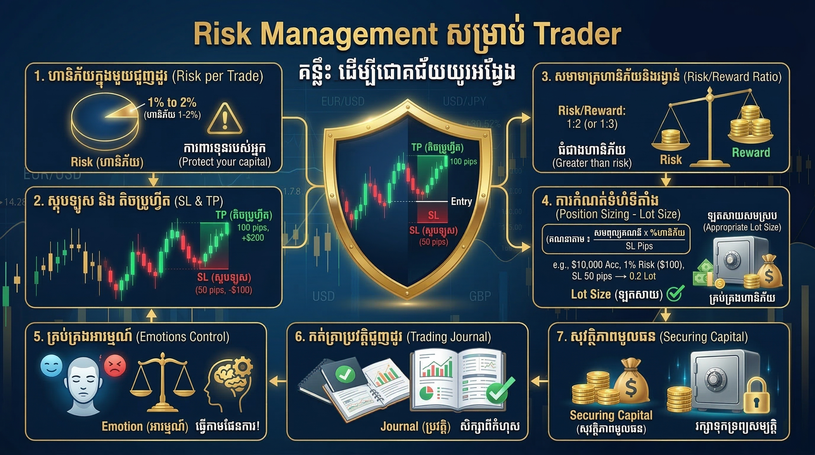 Risk Management infographic