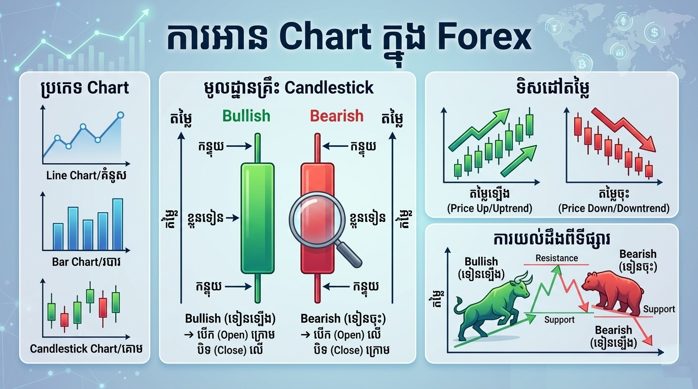 Forex chart infographic